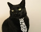 “赛季终点渐近,争夺激烈,你心中的最佳比赛是哪一场?”,2020赛季最佳