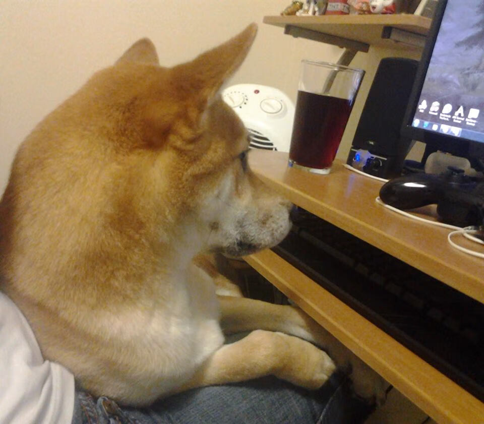 三分狂潮：北京队三分球命中率突破40%，火力全开！，本赛季球队三分球命中率排行榜