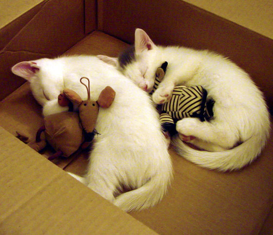 开云·体育全站登录地址-巴萨持续控球，逐步蚕食对手防守线，巴萨控球视频