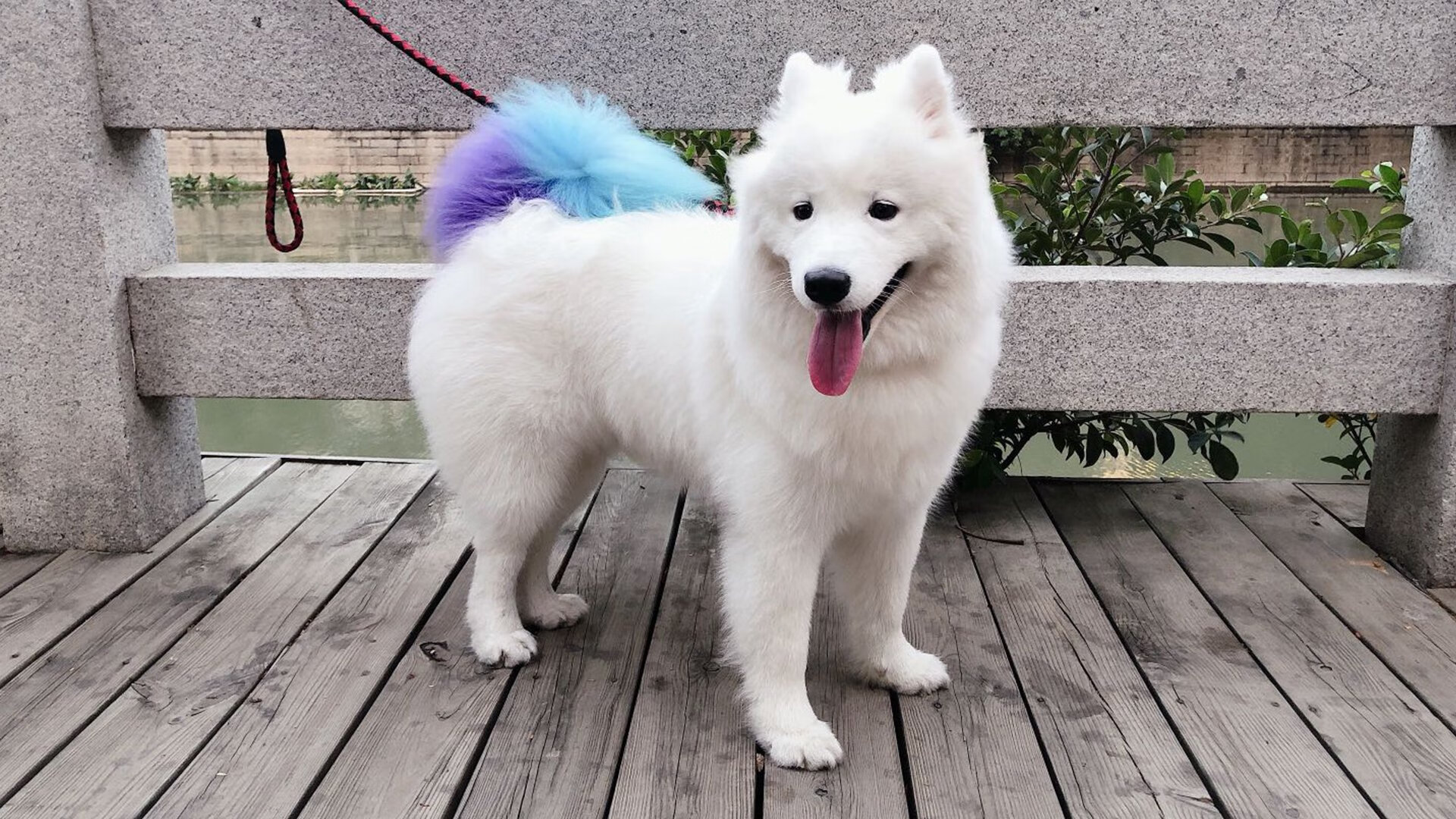 最震撼终点：逆转胜利背后的故事，逆转胜利是怎么达成