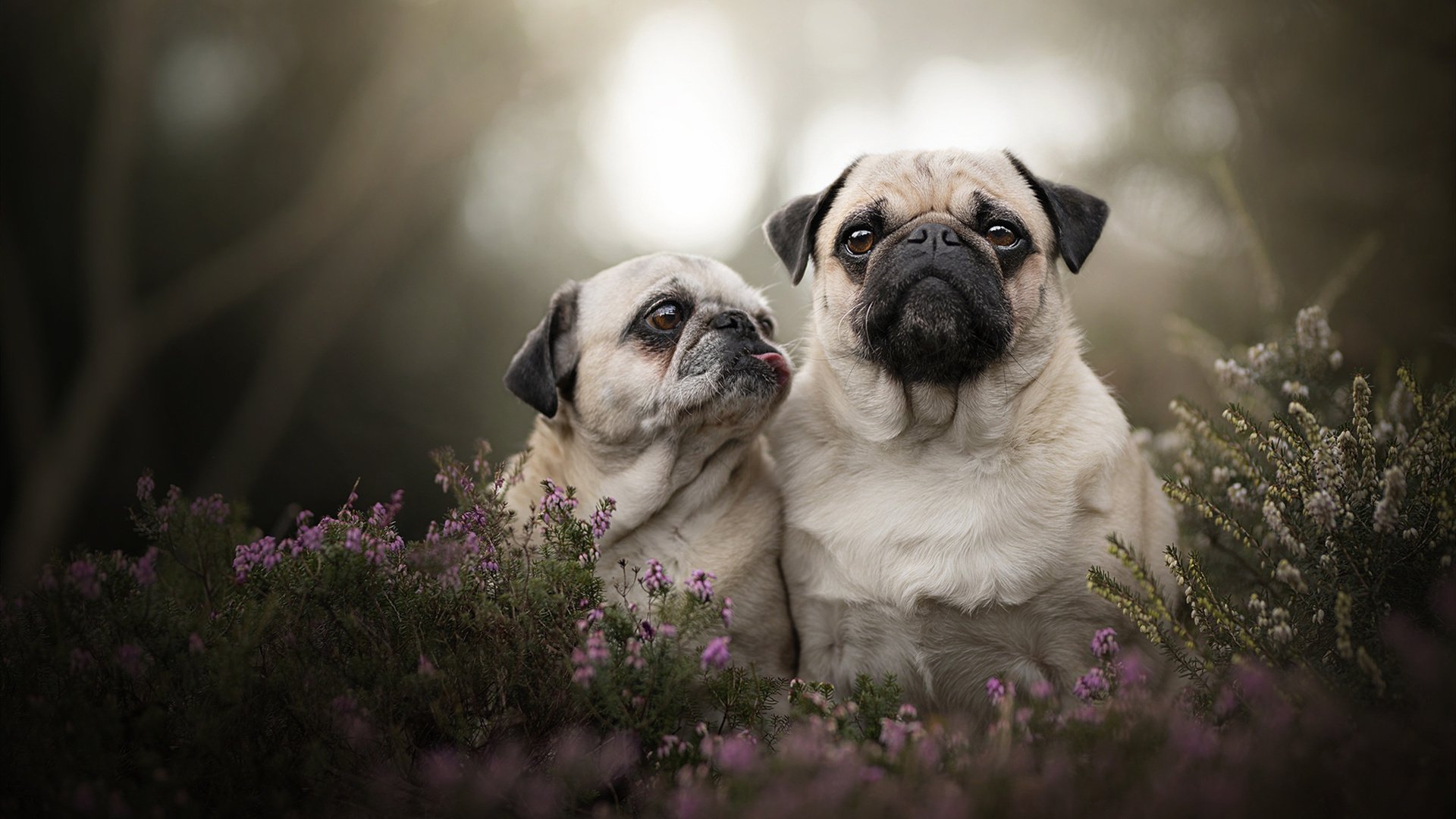 篮球职业联赛多项创新举措取得成果，篮球联赛方案策划书