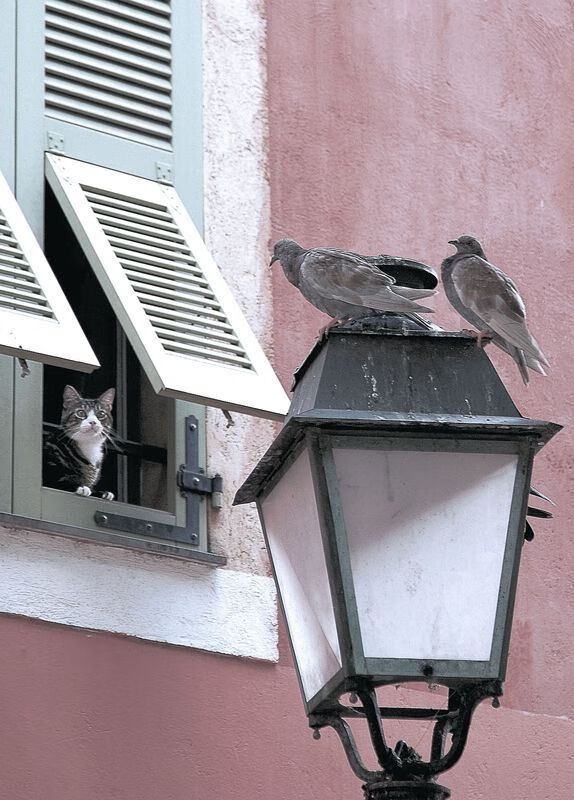 Kaiyun APP-华沙主场胜球，险些保级形势一喜一愁，华沙足球