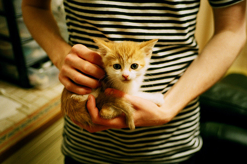 国际顶尖球员将参加重要篮球赛事,国际篮球巨星都有谁