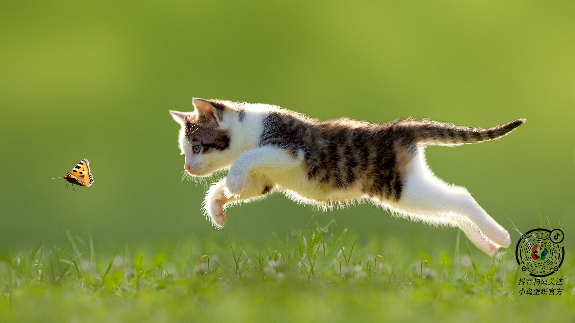 开云体育视频直播-德国女足惊险获胜，晋级之路一触即发，德国女足球队