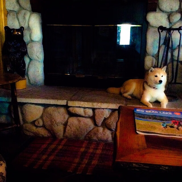 德国女足队雄心勃勃，备战世界杯决赛，德国女足 奥运