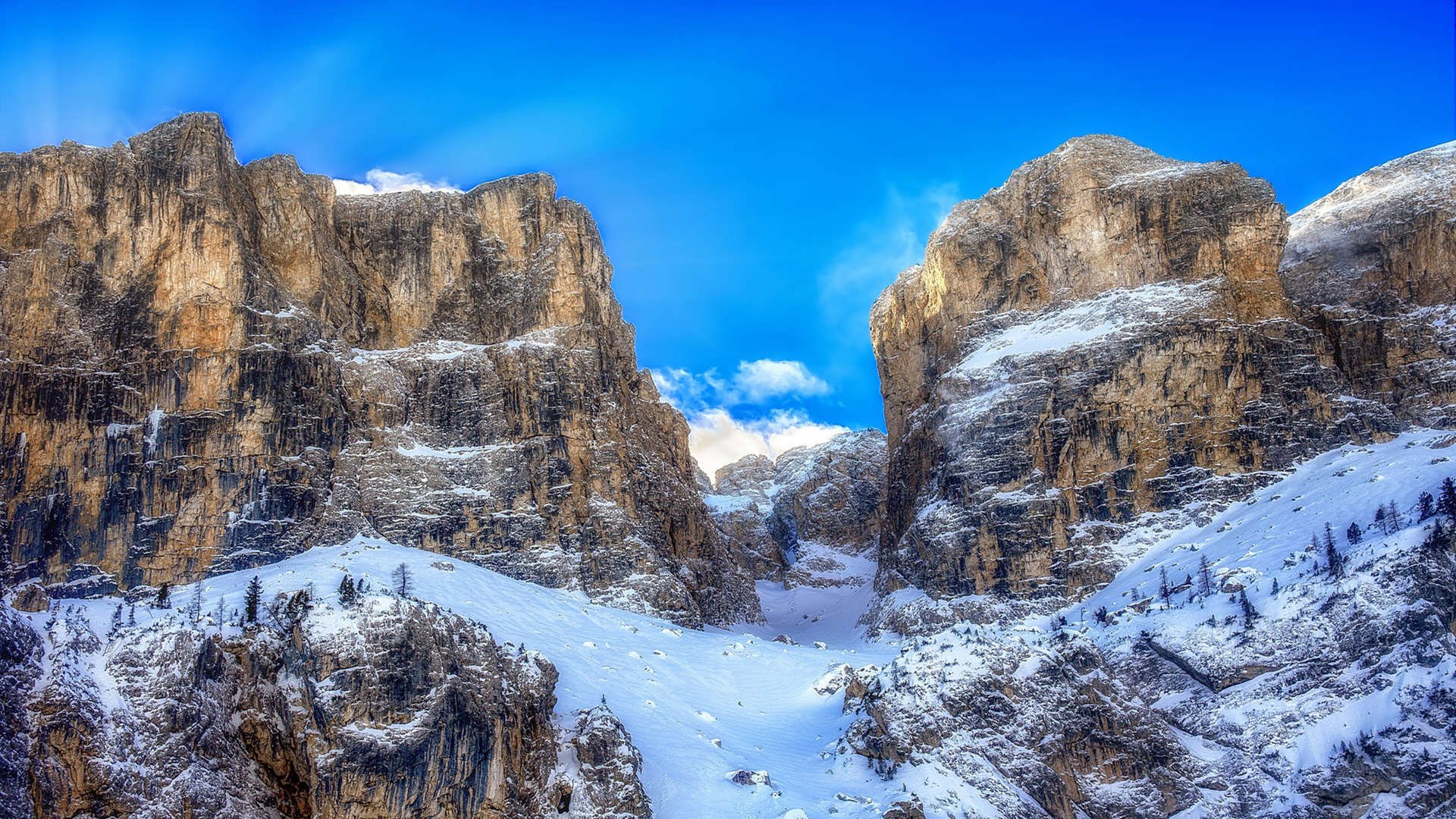 开云官方网站-捷克队半场暂时领先德国，气势如虹，捷克队战绩