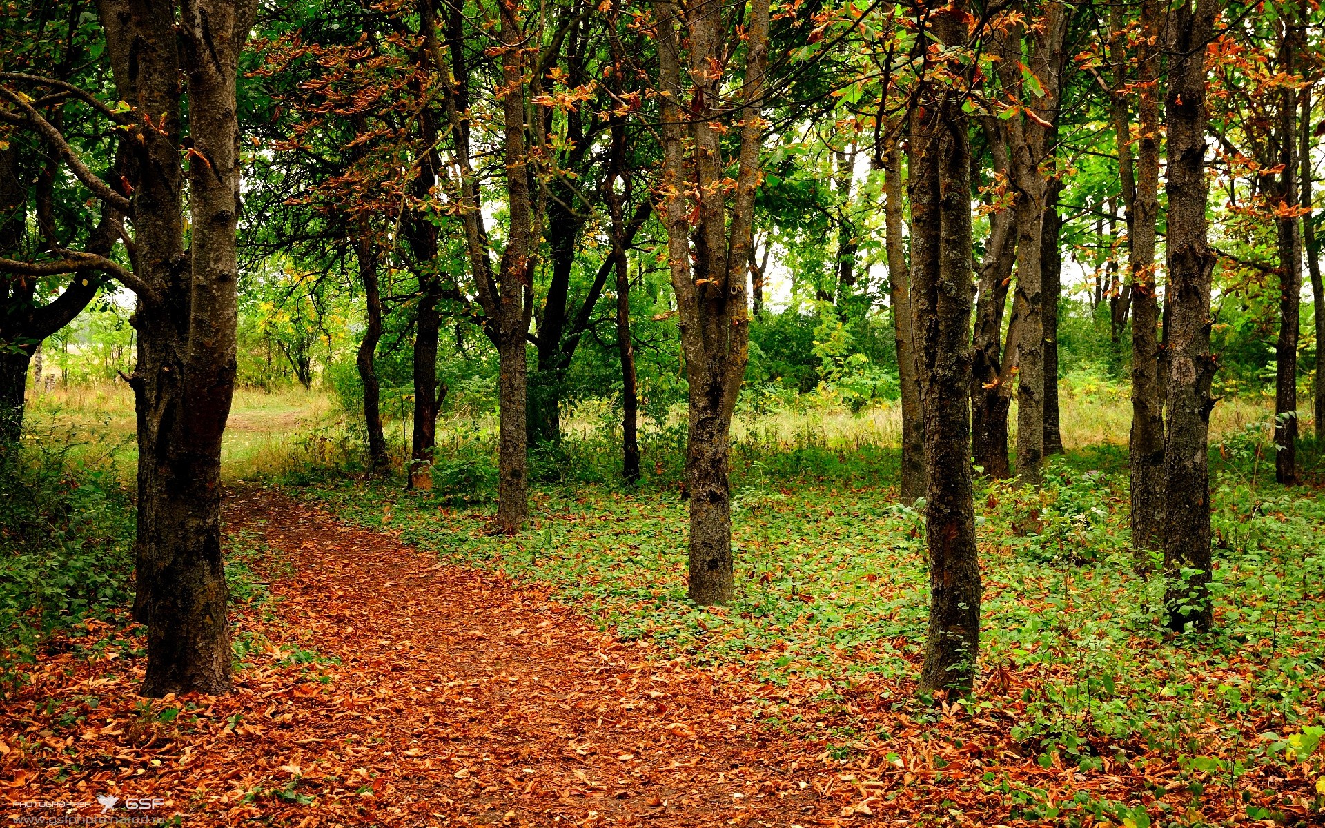 开云官网在线-武汉卓尔客场逼平，积分榜位置暂时保持不变，武汉卓尔俱乐部官方微博