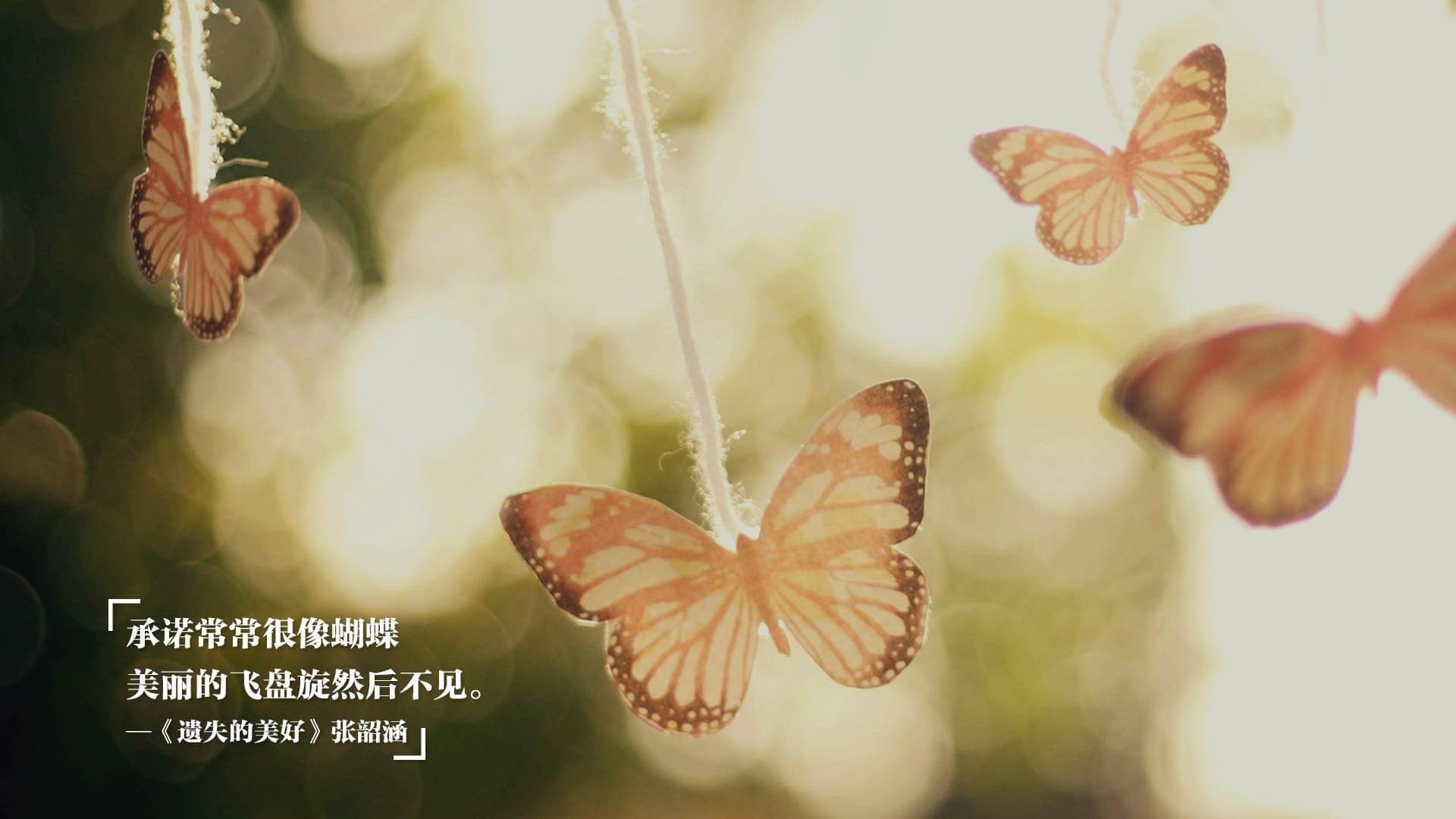 开云网站-新闻中心推进信息化建设，信息化报道