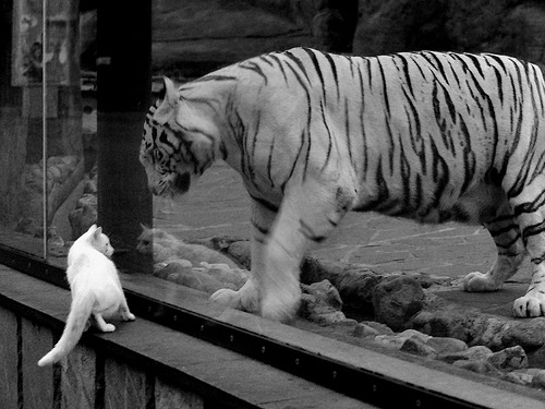 西甲球队体能衰减与传球成功率下降的相关性研究，西甲丢球最少记录