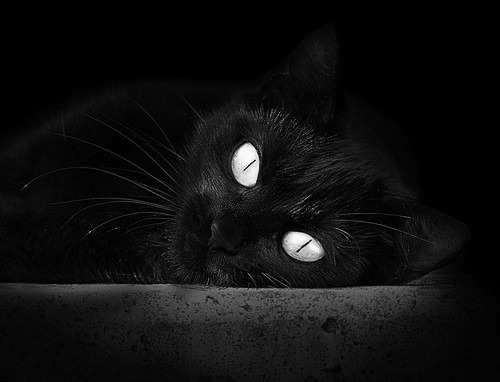 青少年体育运动参与的社会影响因素研究，青少年参加体育活动现状调查问卷