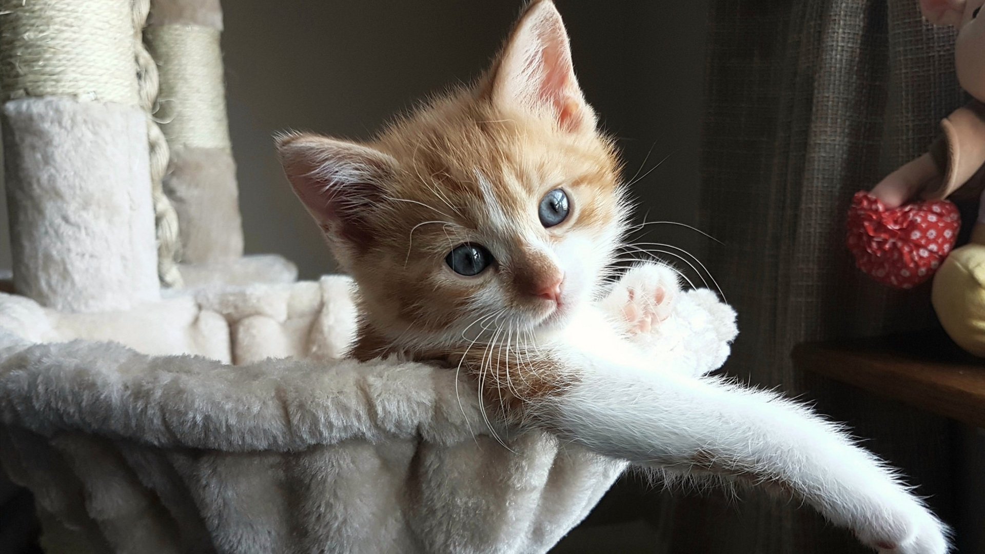 中超联赛球迷支持热情不减，中超球队球迷素质排行