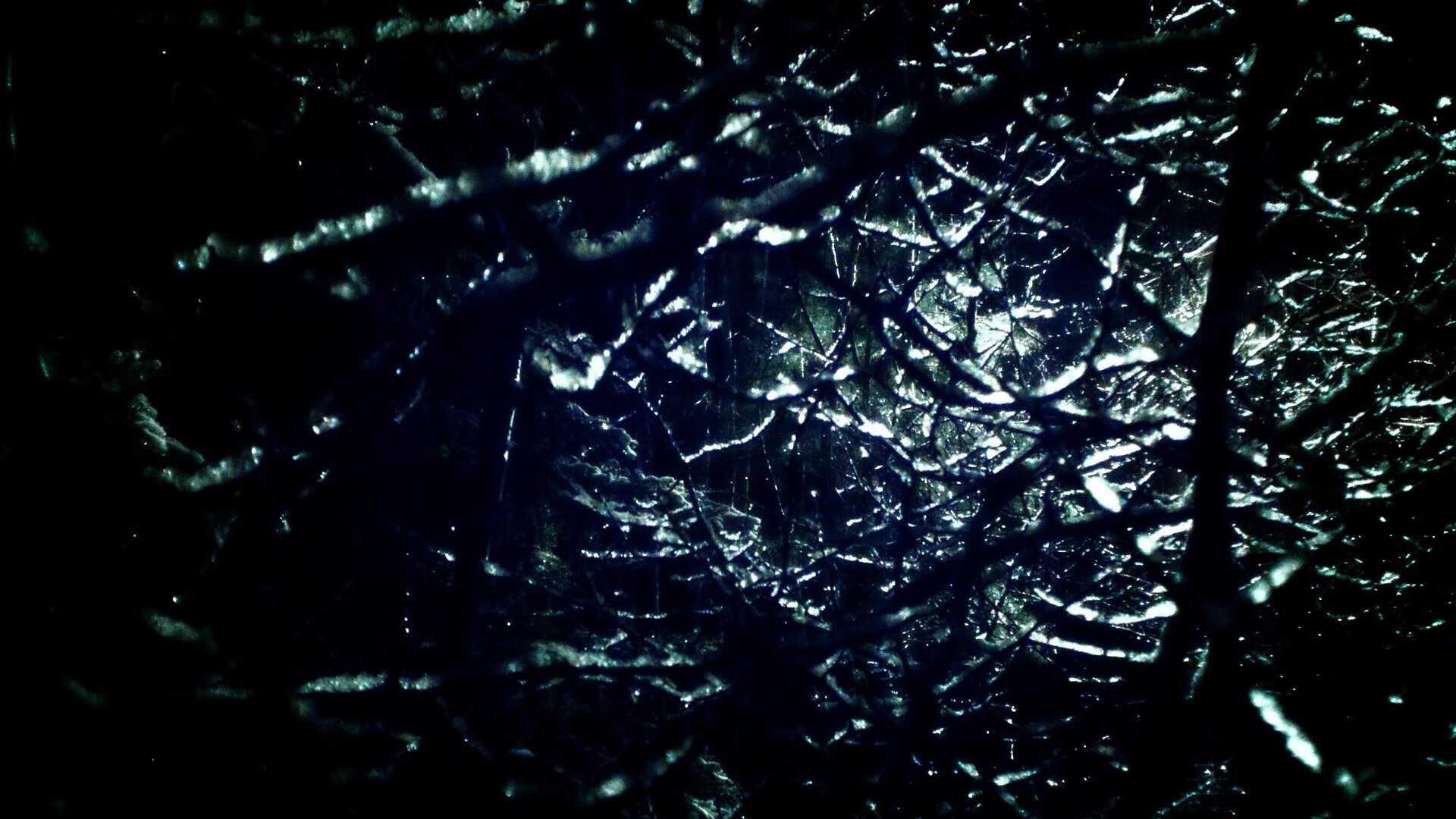 体育新闻中心构建体育赛事版权管理体系，体育比赛版权申请