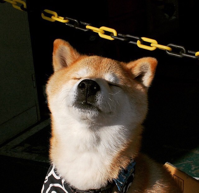 开云kaiyun-外教引进缺乏成果评估体系，外教引进缺乏成果评估体系的原因