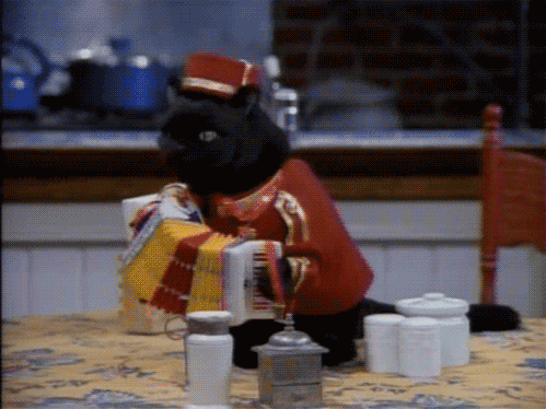 kaiyun登录入口-南非蝶泳选手节奏把握精准，南非女子蛙泳冠军